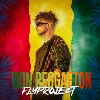 Ringtone:Fly Project - Don Reggaeton