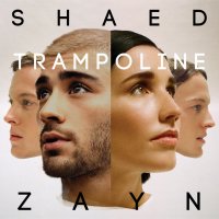 SHAED - Trampoline (Instrumental)